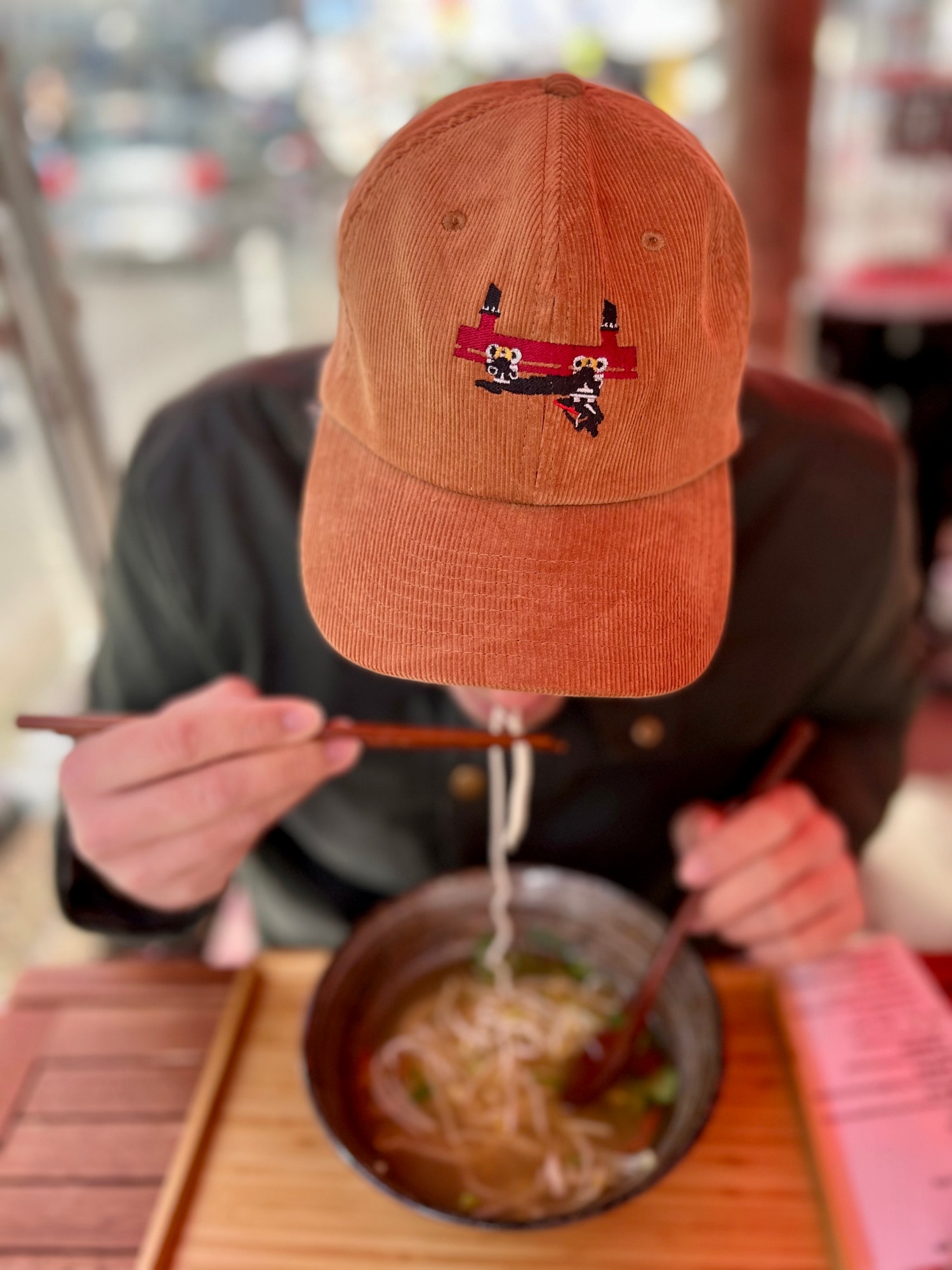 freizeitparkstories x coasterfashion