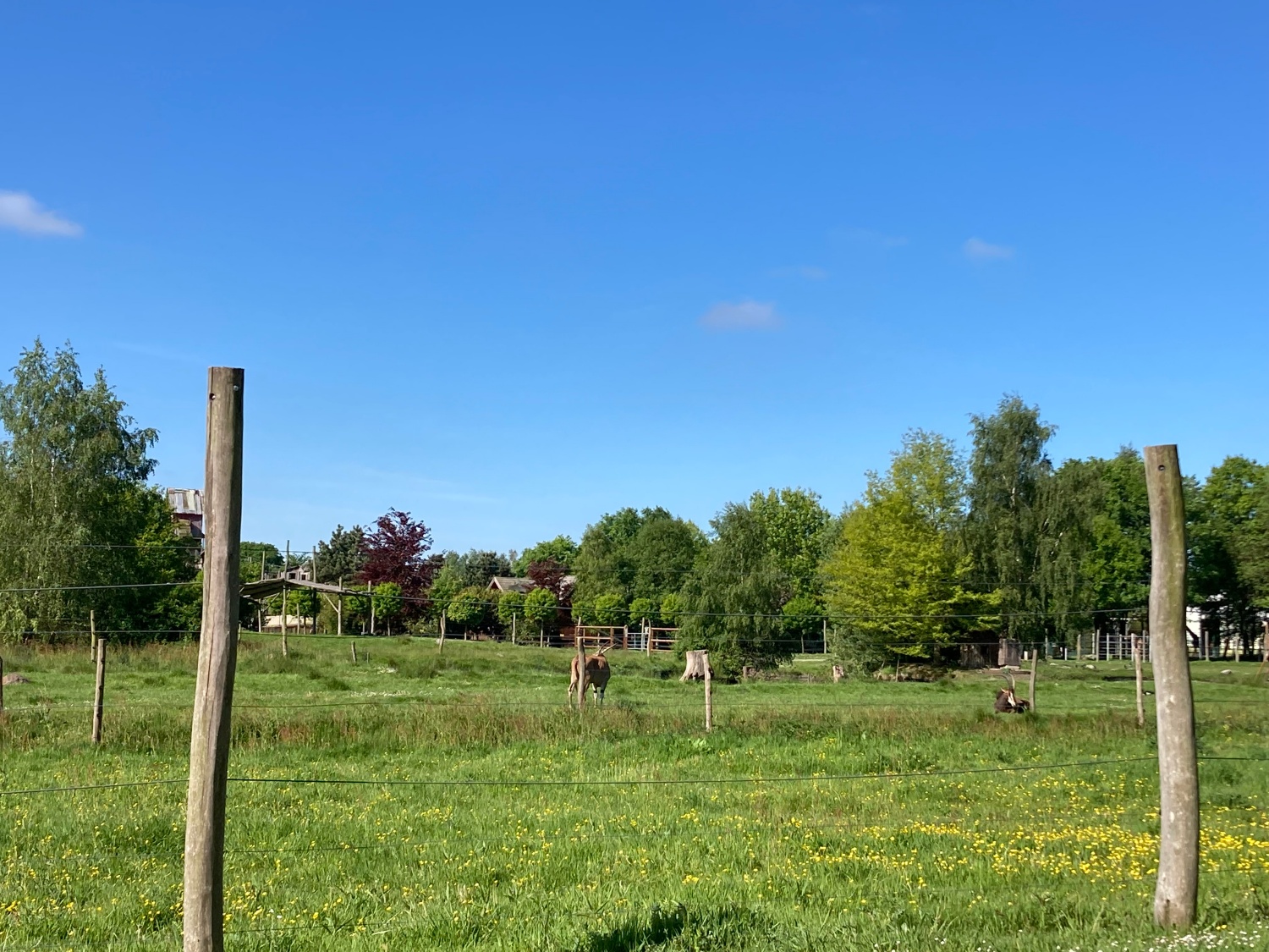 Tier- und Freizeitpark Jaderpark