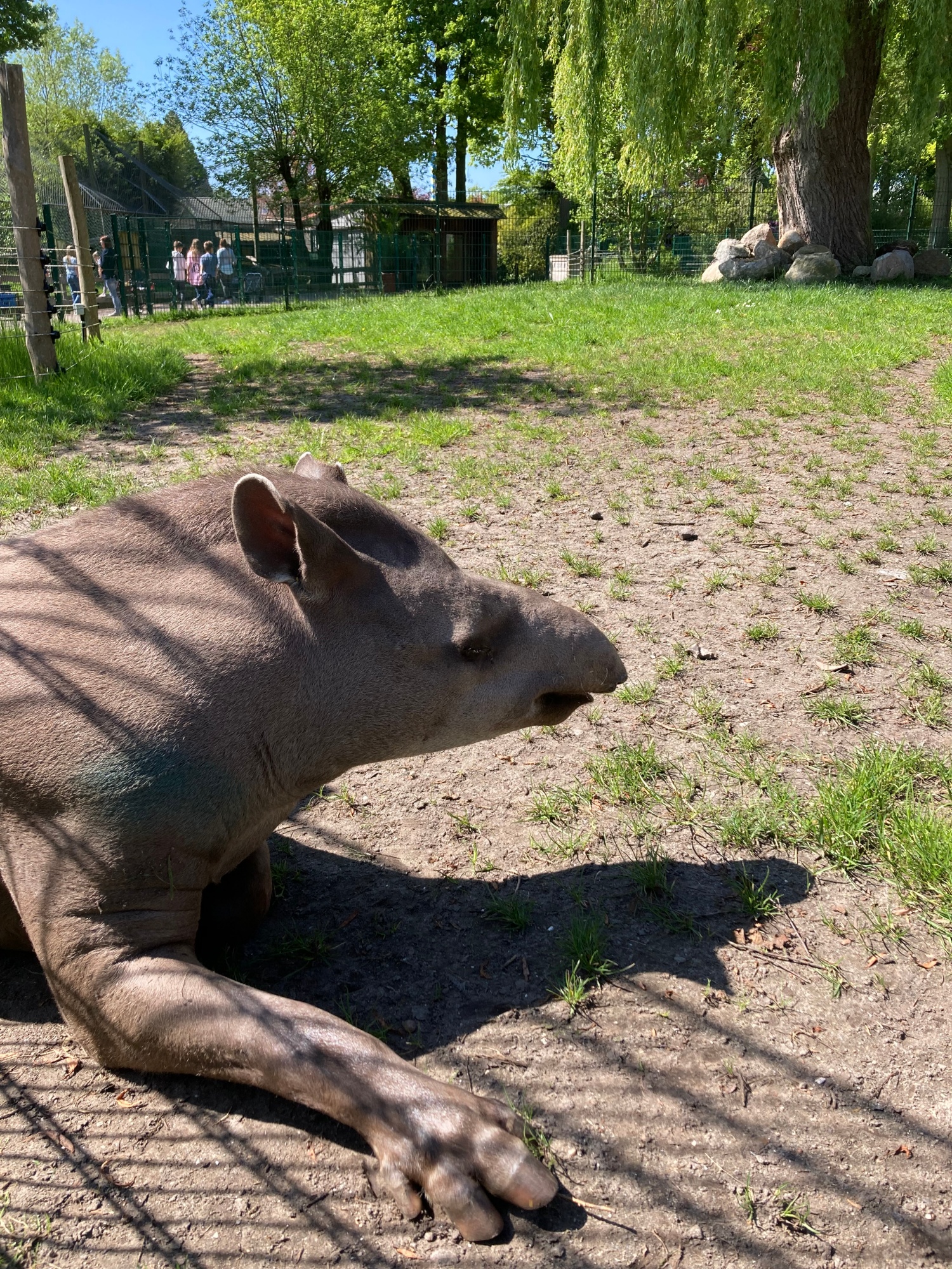 Tier- und Freizeitpark Jaderpark