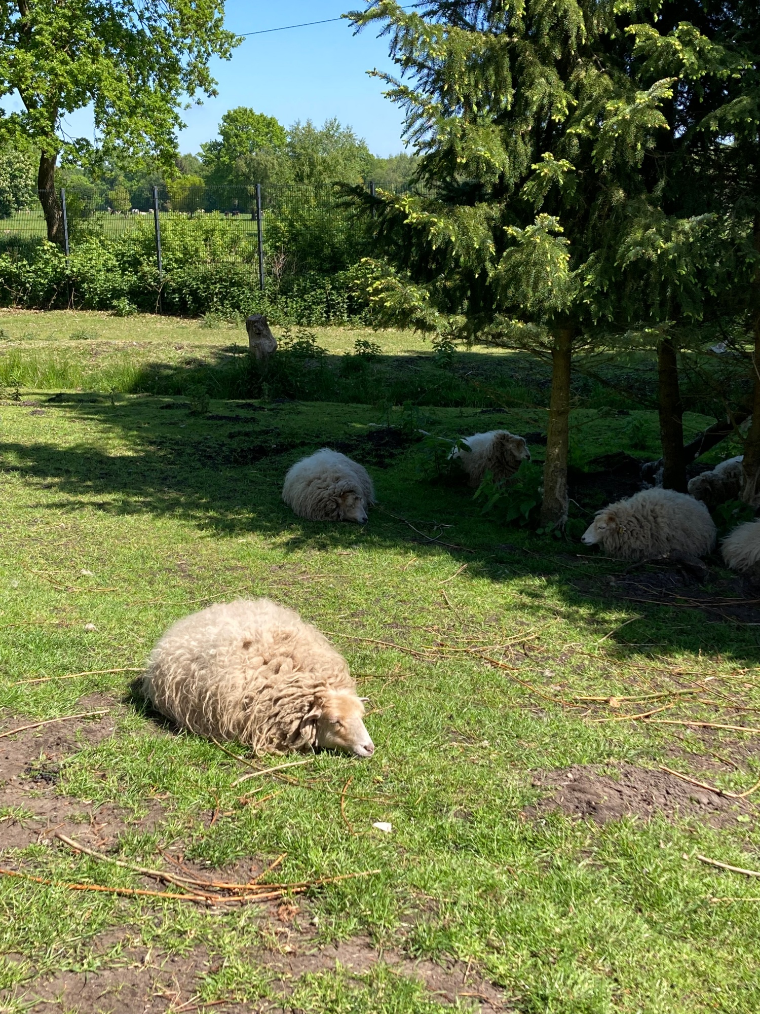 Tier- und Freizeitpark Jaderpark