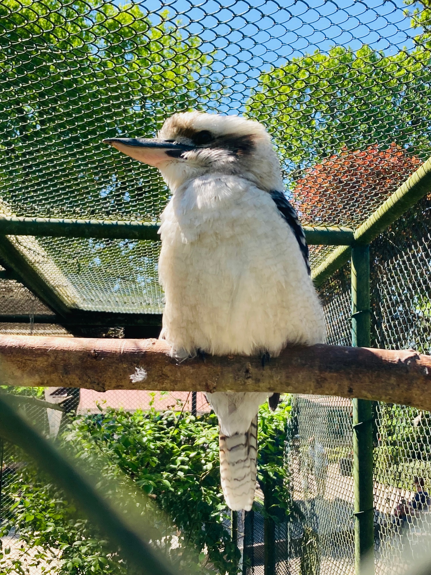 Tier- und Freizeitpark Jaderpark