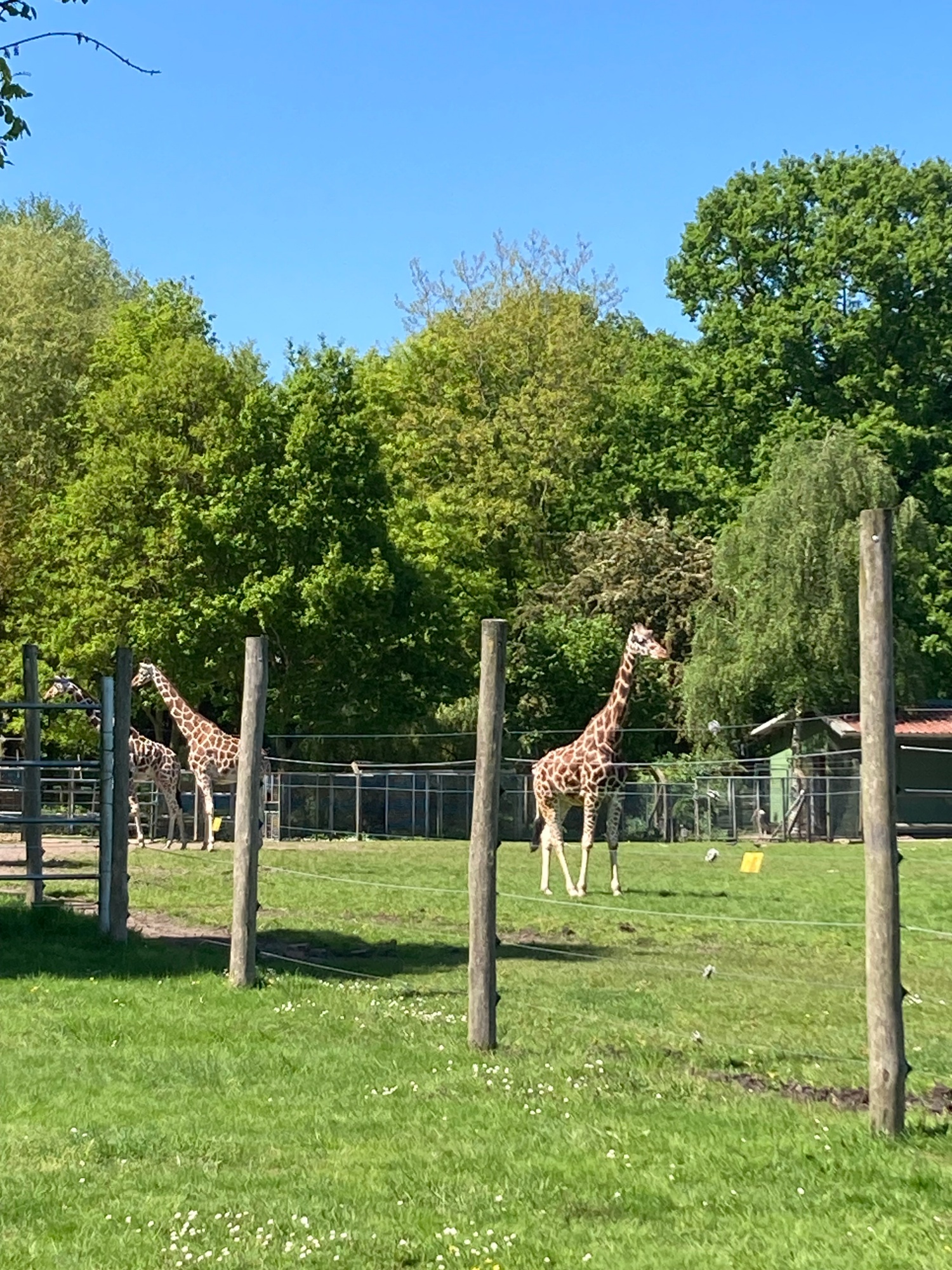 Tier- und Freizeitpark Jaderpark