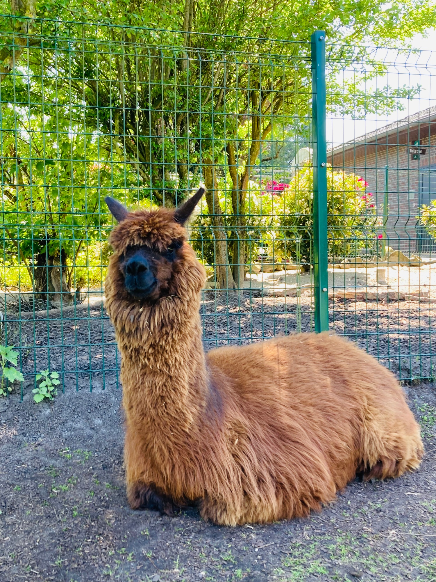 Tier- und Freizeitpark Jaderpark