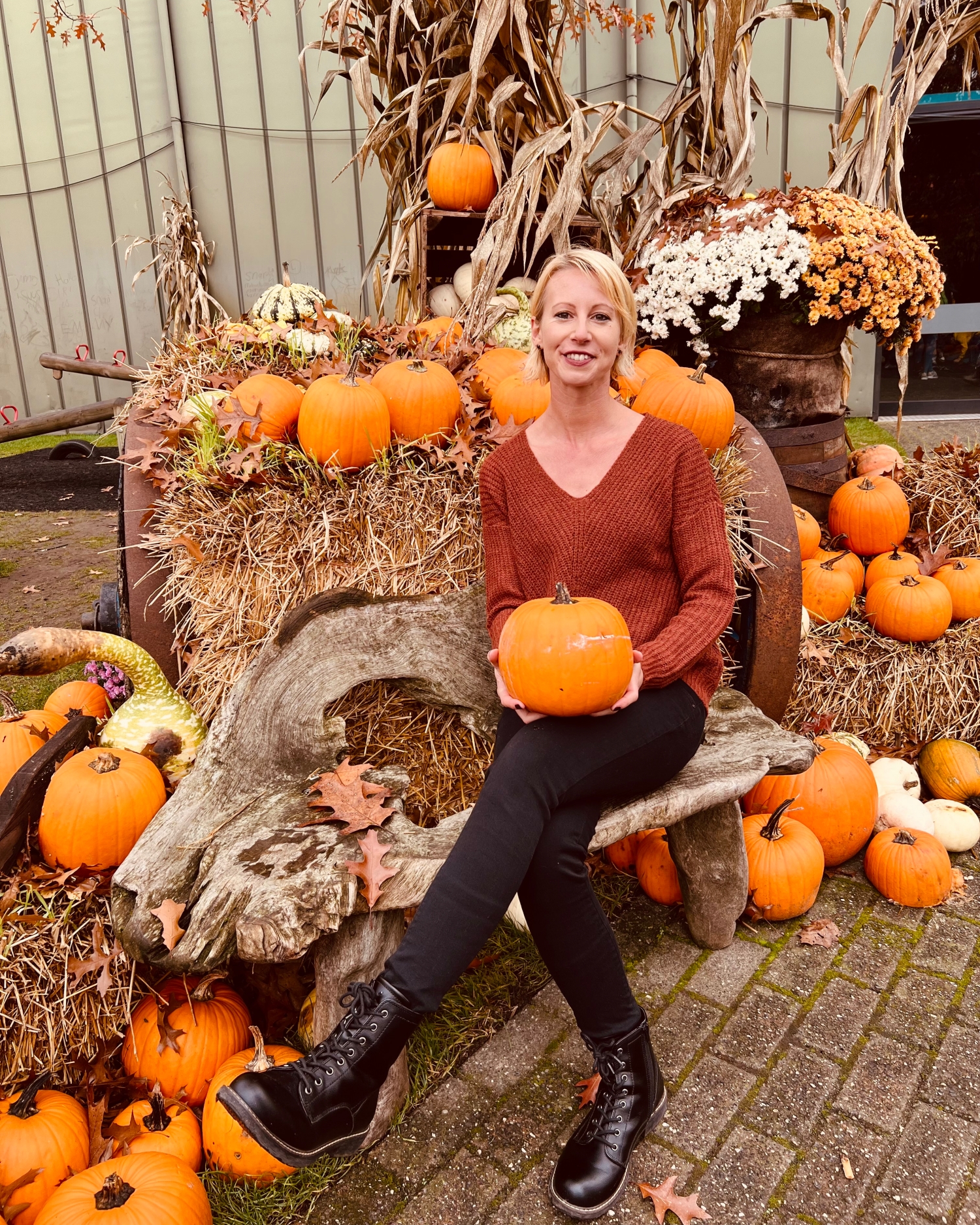 Toverland: Halloween Days and Nights