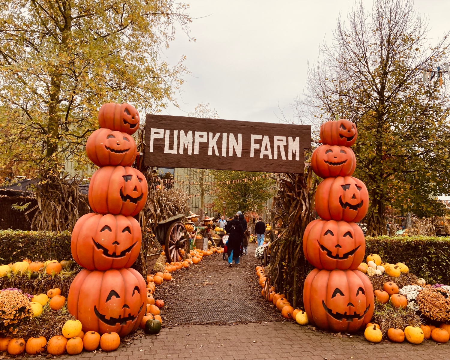 Toverland: Halloween Days and Nights