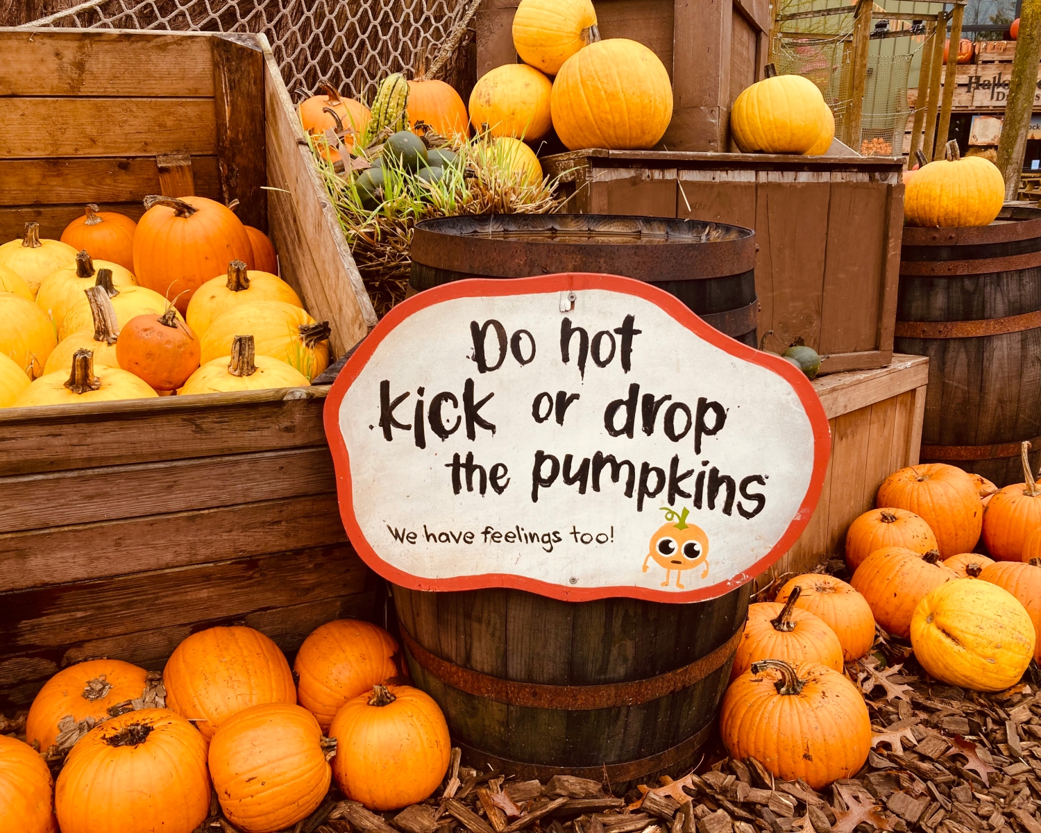 Toverland: Halloween Days and Nights