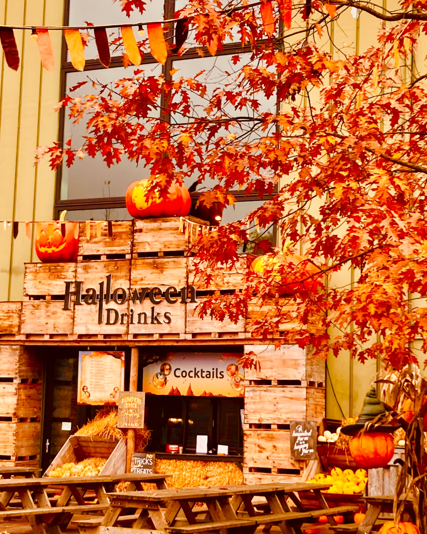 Toverland: Halloween Days and Nights
