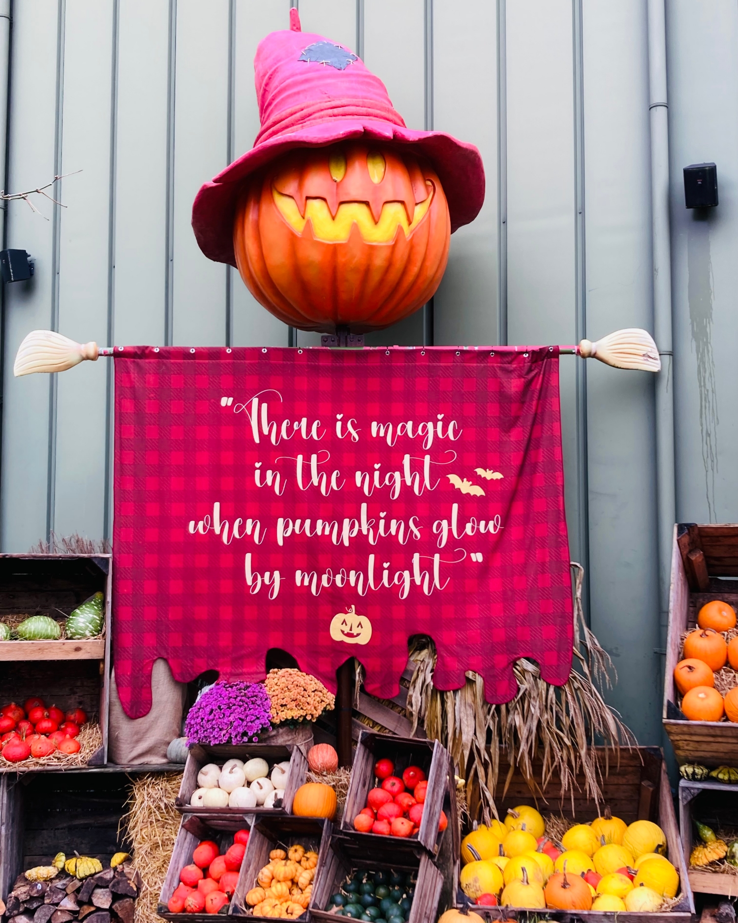 Toverland: Halloween Days and Nights