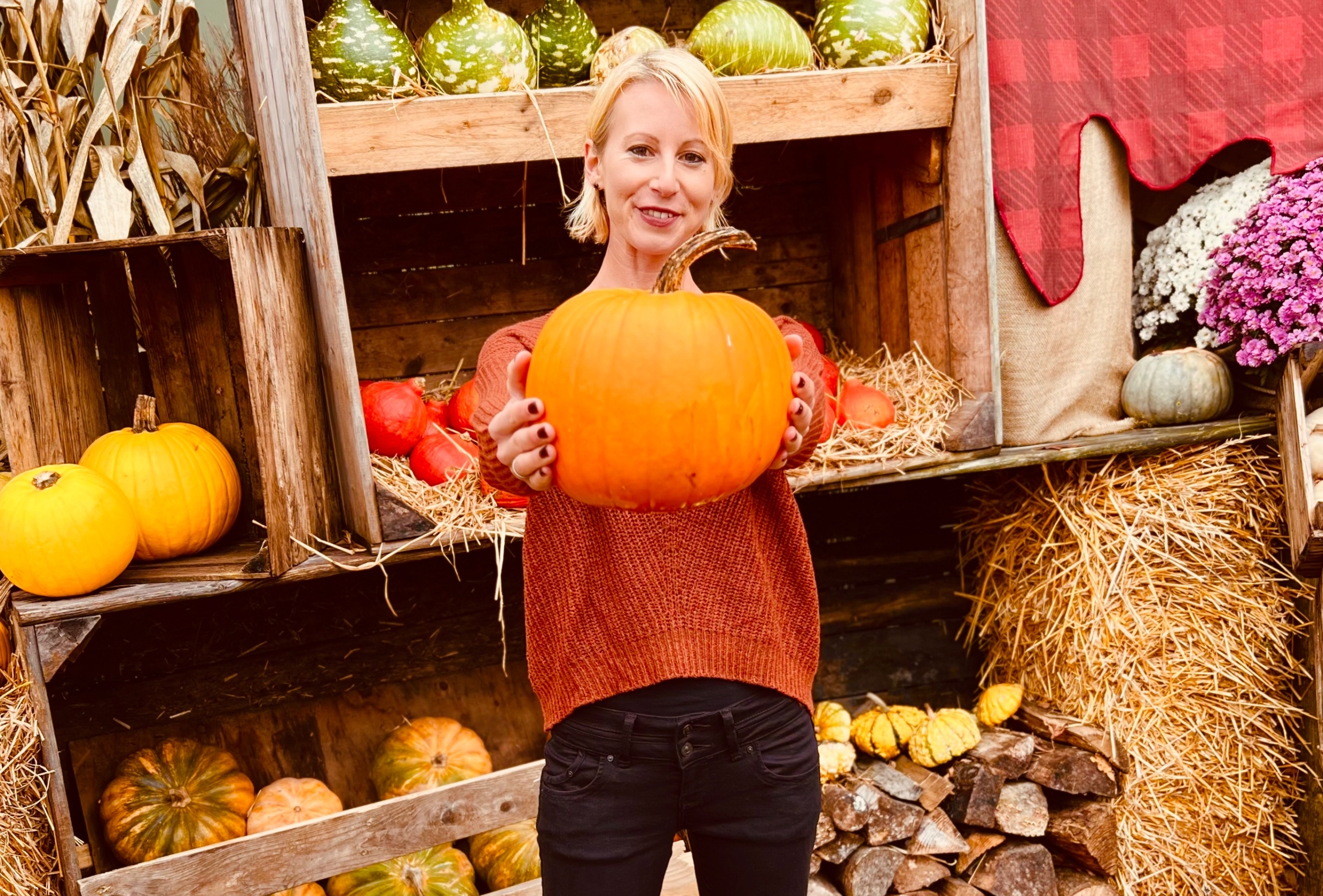 Toverland: Halloween Days and Nights